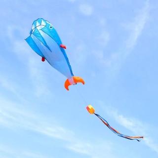 【888便利購】大鯨魚造型風箏(軟式風箏)(全配/附150米輪盤線),圖片來源:momo 商品頁 / 便利購企業社